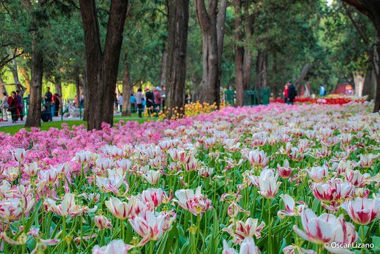 Zhongshan Park